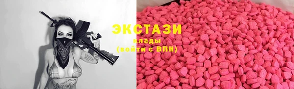 прущие грибы Вязьма