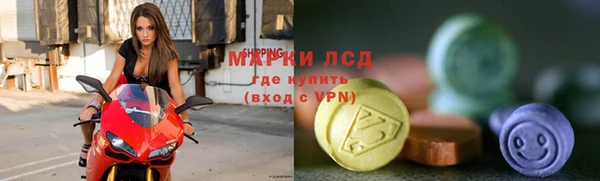 дмт Вяземский