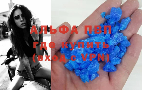 прущие грибы Вязьма