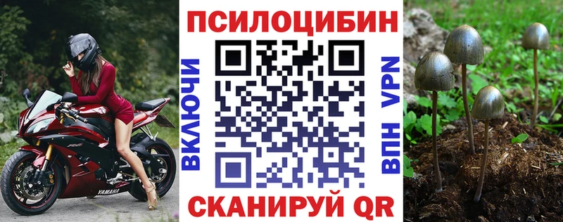 Псилоцибиновые грибы MAGIC MUSHROOMS  Зеленогорск 